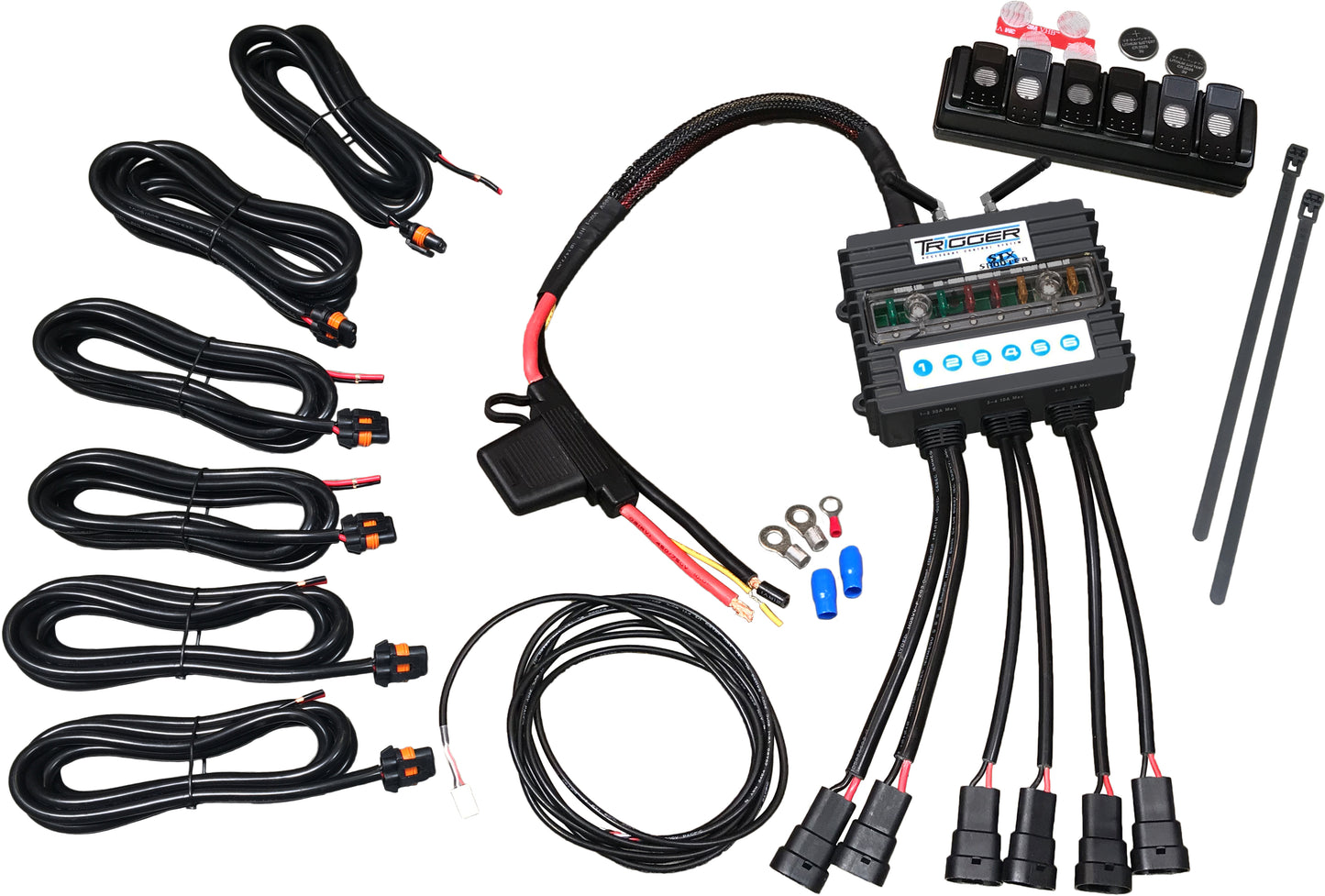 Trigger 6 Switch System