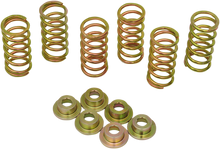 BARNETT Clutch Spring Kit 505-45-06050