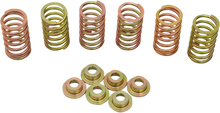 BARNETT Clutch Spring Kit 505-44-06090