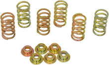 BARNETT Clutch Spring Kit 505-57-06007