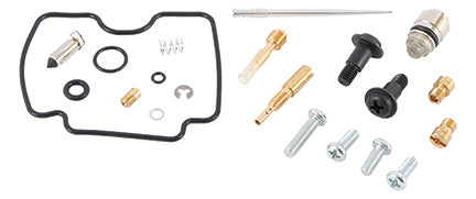 Carburetor Repair Kit