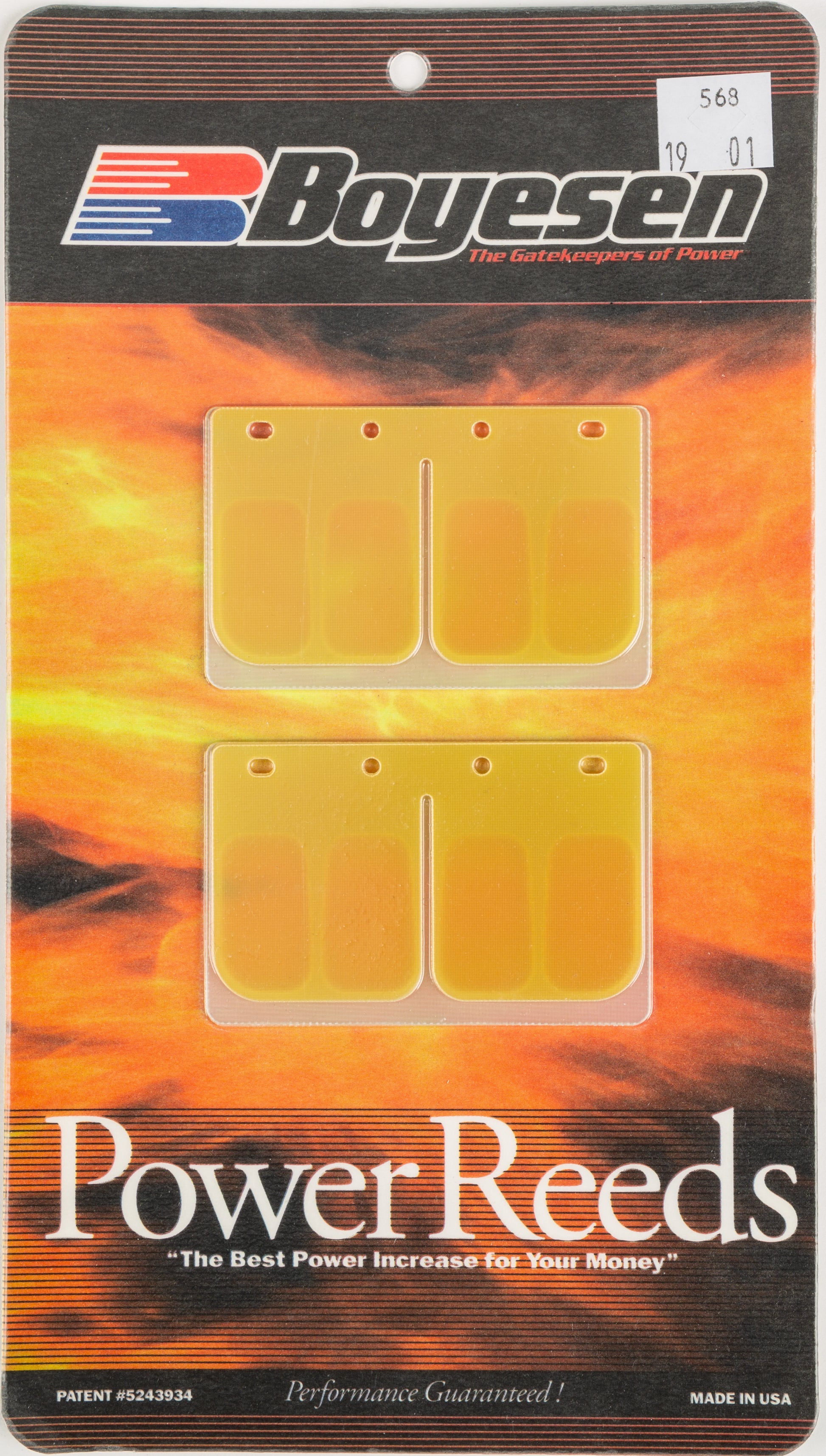 Snowmobile Reeds