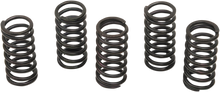 BARNETT Clutch Spring Kit 501-34-05122