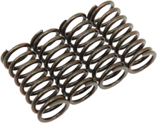 BARNETT Clutch Spring Set 501-63-04014