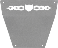 Front Race Skid Plate Sparkle Silver Metallic Pol