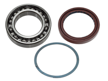 Track Shaft Bearing/Seal Kit Yam