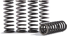 High Tempurature Spring Kit