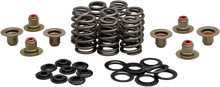 Beehive Valve Spring Kit .550 Lift  M8`17 24 Non Vvt