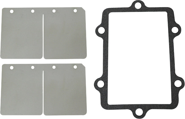 Reed Valve Rebuild Kit A/C