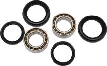 PIVOT WORKS Wheel Bearing Kit - Front - TRX 420 PWFWK-H27-001