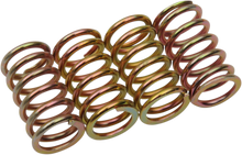 BARNETT Clutch Spring Kit 501-40-04011