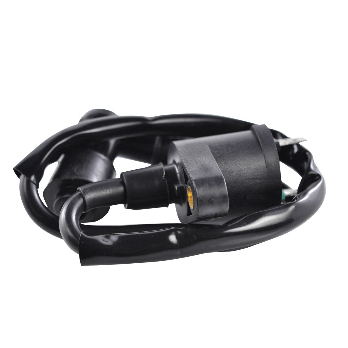 External Ignition Coil W/Spark Plug Cap