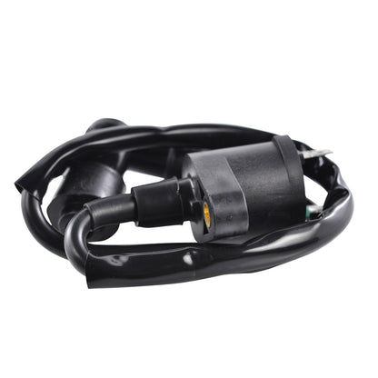 External Ignition Coil W/Spark Plug Cap
