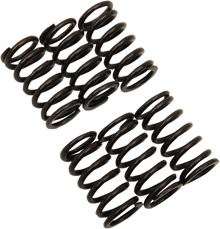 BARNETT Clutch Spring Kit 501-66-06010