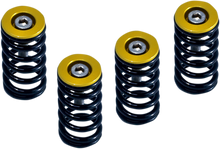 BARNETT Clutch Springs 519-25-06090
