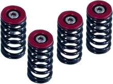BARNETT Clutch Springs 519-25-06098