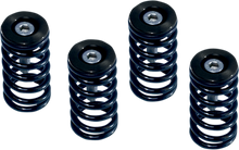 BARNETT Clutch Springs 519-25-06095