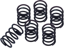 BARNETT Clutch Spring Kit 501-31-06146