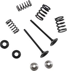 MOOSE OFFROAD Valve and Spring Kit - Yahama WR250F | YZ250FX | YZ250F M80-82360