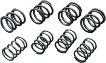 ANDREWS High-Lift Valve Springs 272110