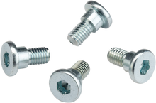 MOOSE OFFROAD Rotor Bolts - Rear - Honda/TM 039-6A02