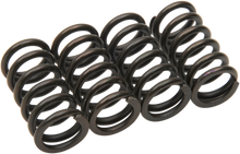 BARNETT Clutch Springs 501-66-04010