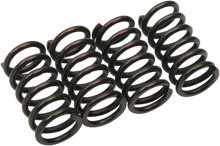 BARNETT Clutch Springs 501-87-04009
