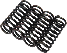 BARNETT Clutch Springs 501-61-04079