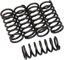 BARNETT Clutch Springs 501-73-05067