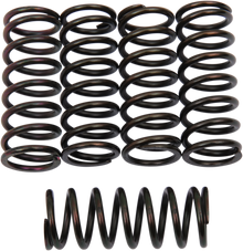 BARNETT Clutch Springs 501-55-05066