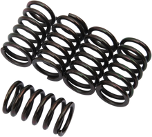 BARNETT Clutch Springs 501-40-05058