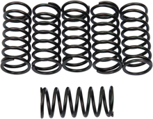 BARNETT Clutch Springs 501-40-06095