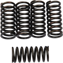 BARNETT Clutch Springs 501-40-05039