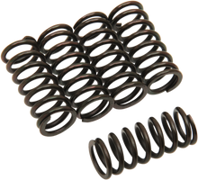 BARNETT Clutch Springs 501-50-05042