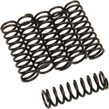 BARNETT Clutch Springs 501-42-06031