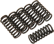 BARNETT Clutch Springs 501-79-06036