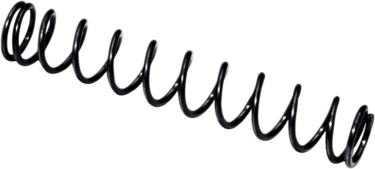 FEULING PARTS Camplate Pressure Relief Spring - Twin Cam Engine Camplates '99-'17 8019
