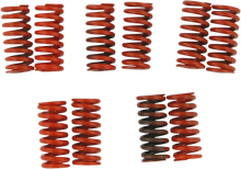 BARNETT Clutch Springs 501-66-10041
