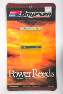 Motorcycle Reeds