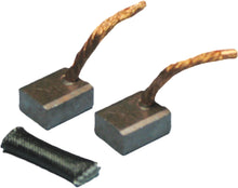 Starter Brush