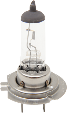 DRAG SPECIALTIES Halogen Bulb - H7 - 55 W H7-55