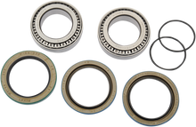 PIVOT WORKS Wheel Bearing Kit - Rear - Outlaw/Predator PWRWK-P10-000