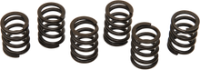 BARNETT Clutch Spring Set 501-38-06012