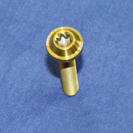 Proti Engine Housing Cover Left Bolt Kit for the BMW S1000XR (2015-2016)