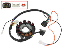 Stator Assembly Pol