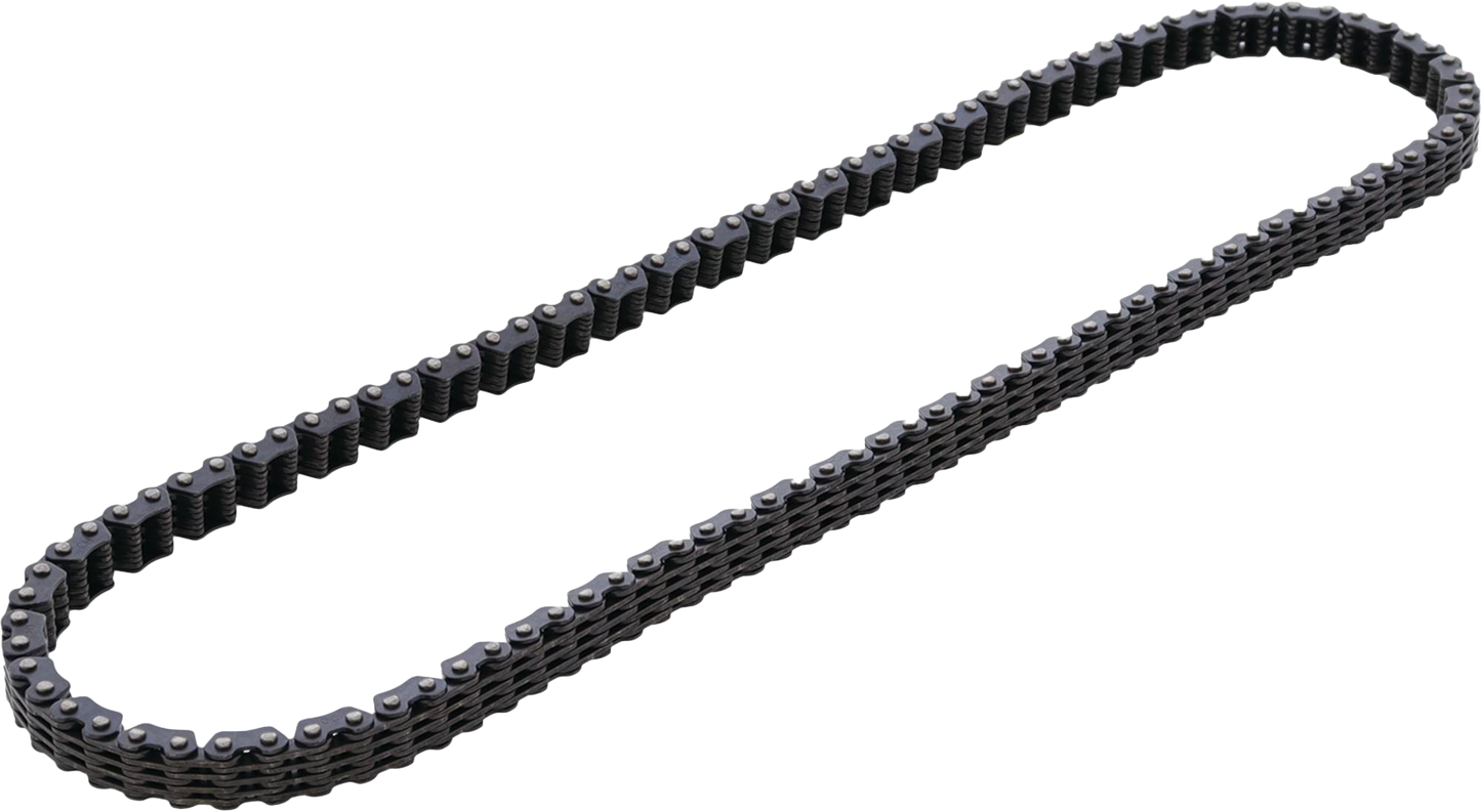 Cam Chain