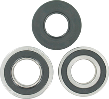PIVOT WORKS Wheel Bearing Kit - Rear - RZR 170/200 PWRWK-P18-000