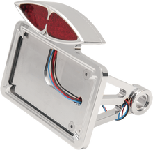 DRAG SPECIALTIES Taillight/License Plate Mount - Flat - Horizontal 76385