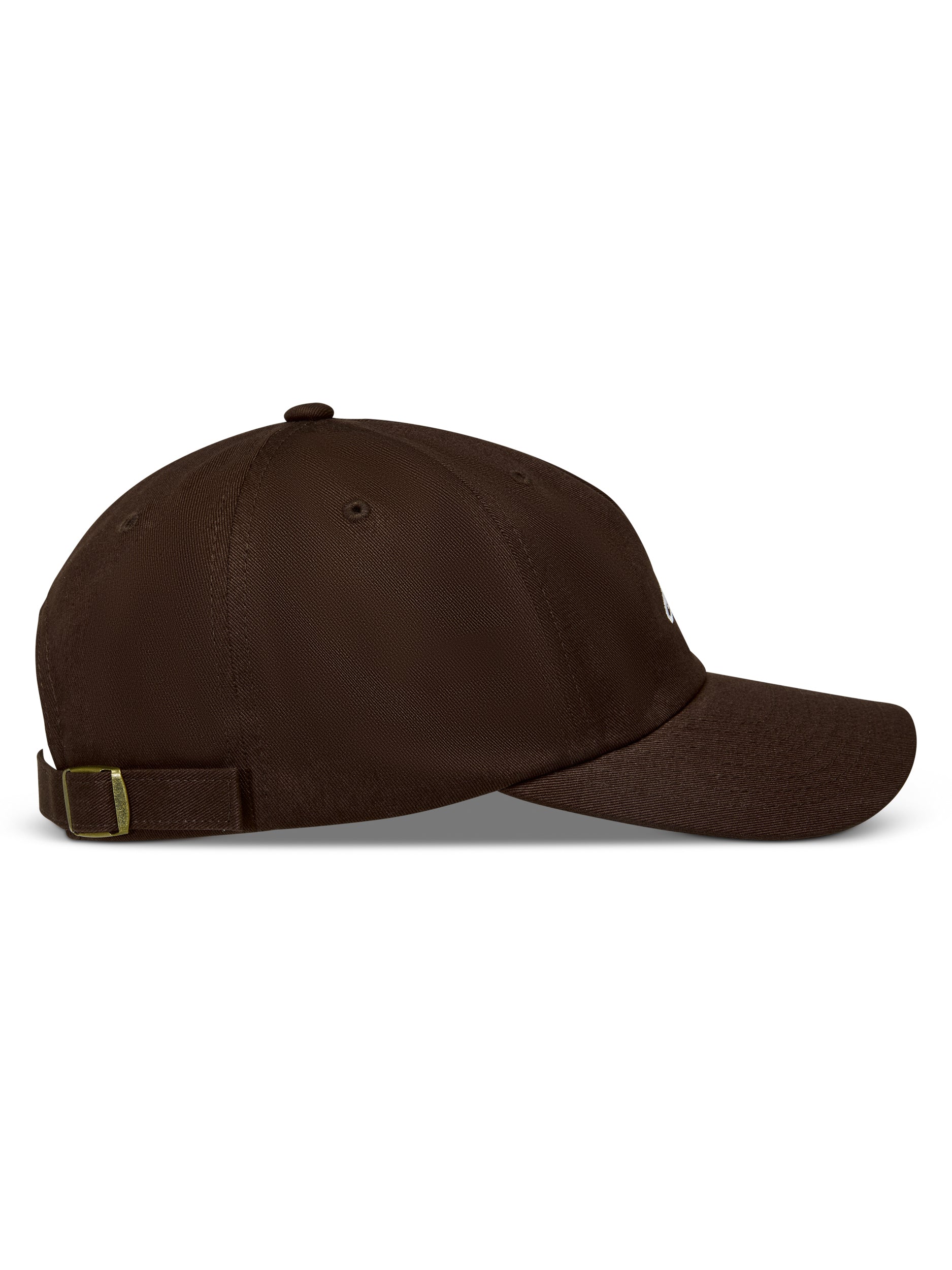 Dylan Dad Hat Brown