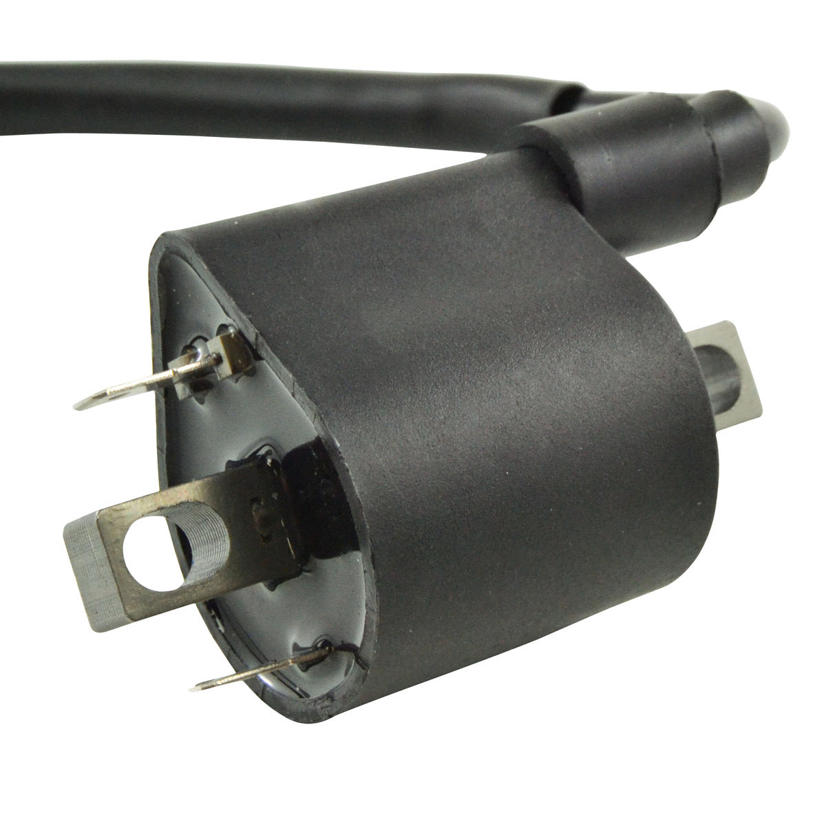 External Ignition Coil W/Spark Plug Cap